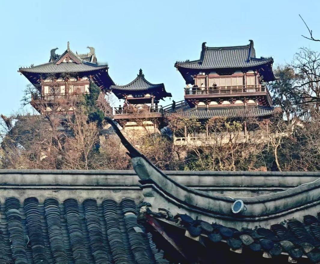 ✨灰瓦叠着蓝天的澄澈，古建与枯荣的树相拥，每一道檐角的弧线，都是时光写给尘世的浪