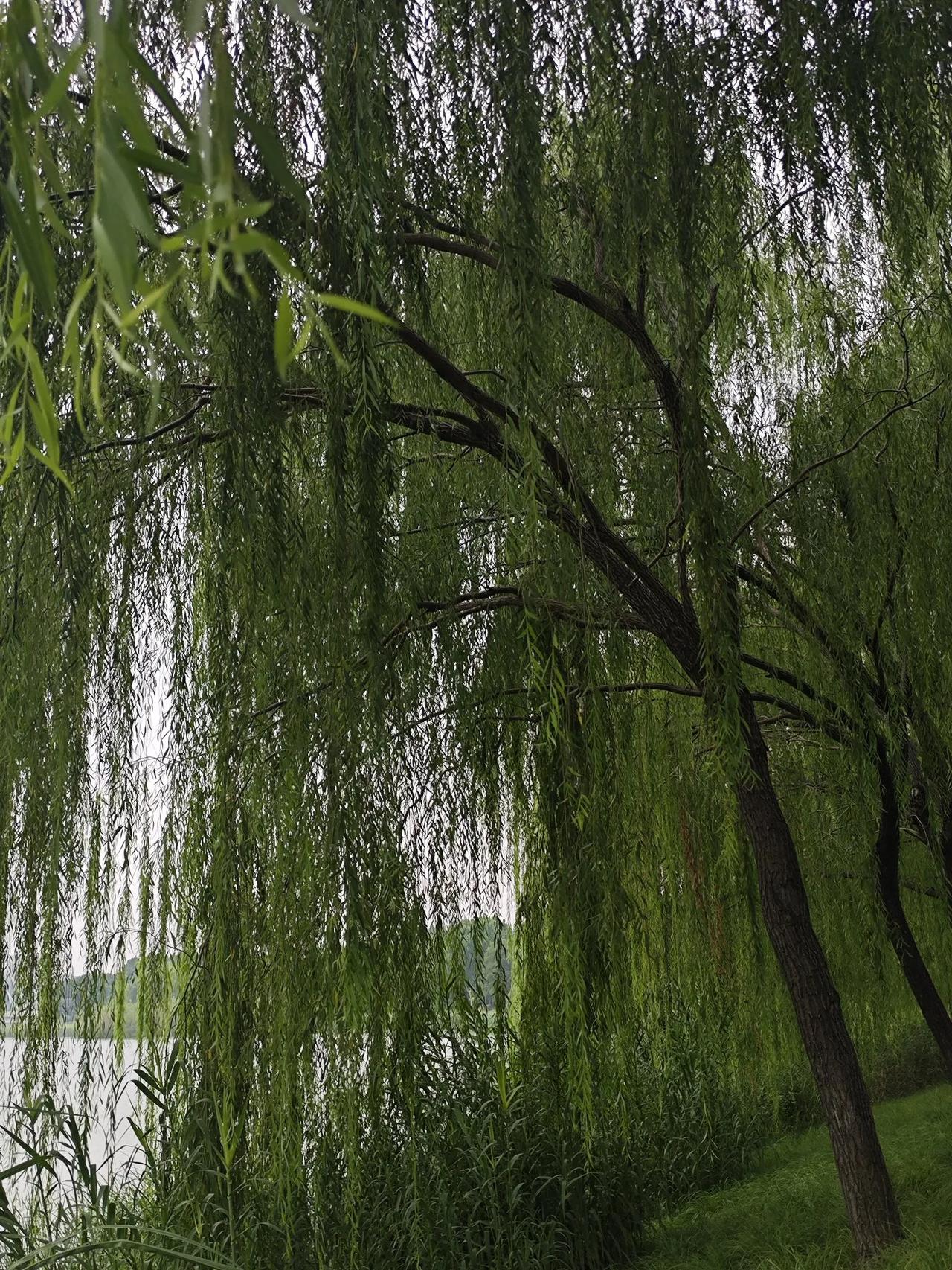 丢三落四，没有防备心
  六十岁以后，我发现不知是大脑逐步退化了，还是反应迟钝了