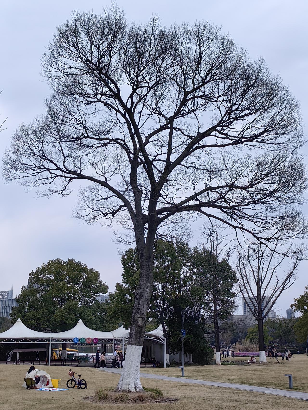 分享一张你拍过的最美的照片