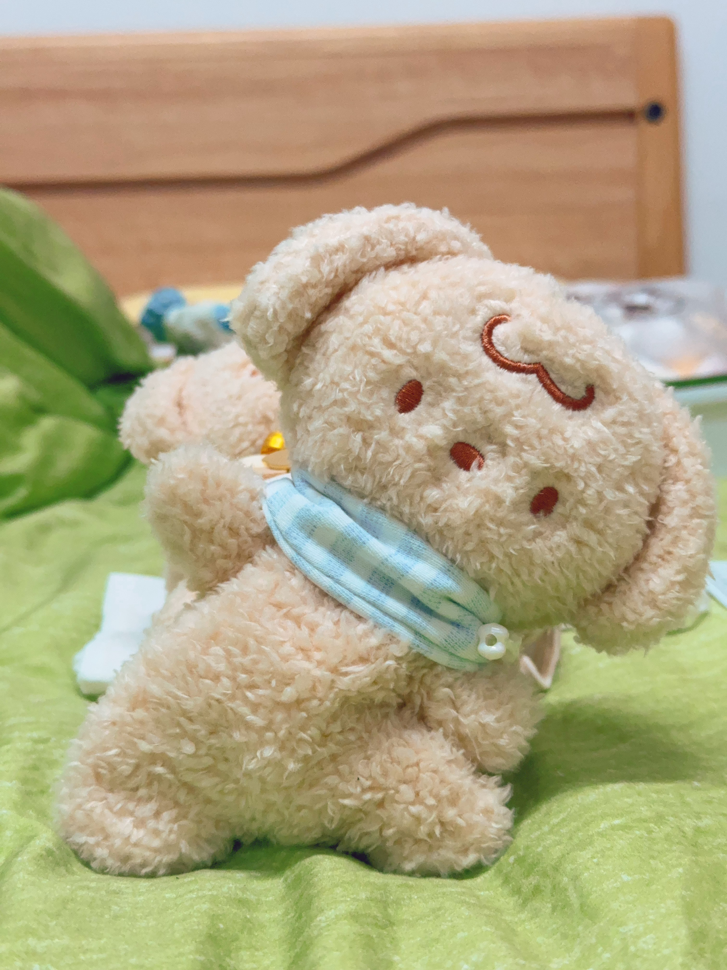 张泽禹 PRADA品牌大使