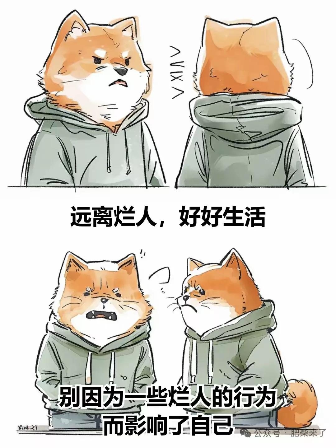 科大讯飞这个大瓜再次告诉我们：有些游戏，良家女，你玩不起！

年轻时曾经目击过一
