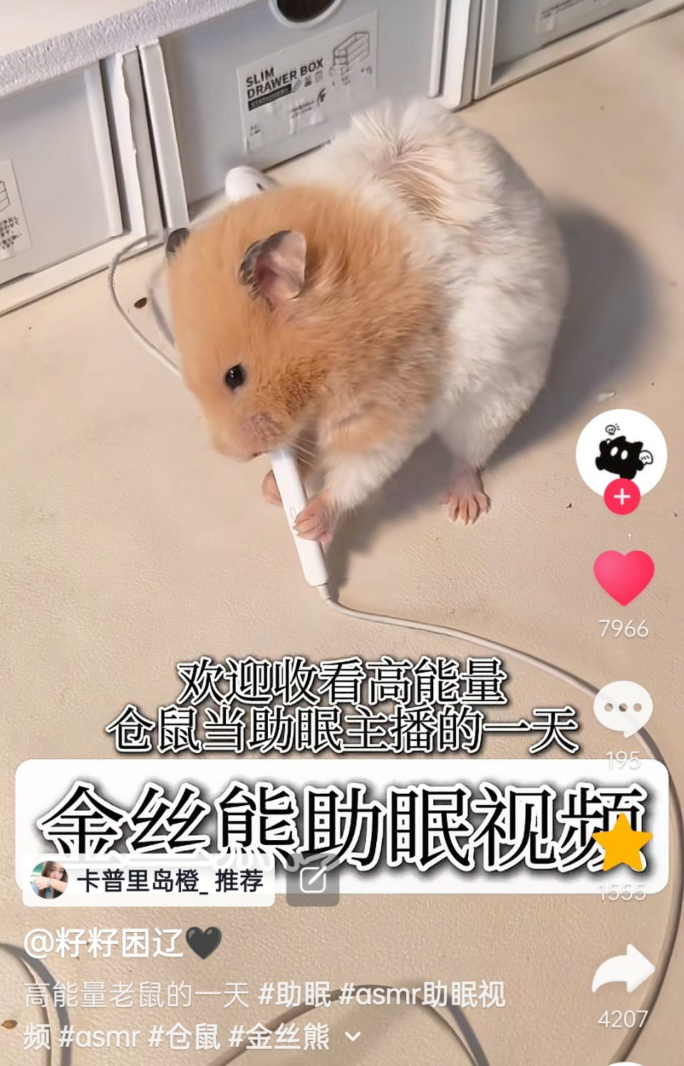 好萌呀好萌呀 