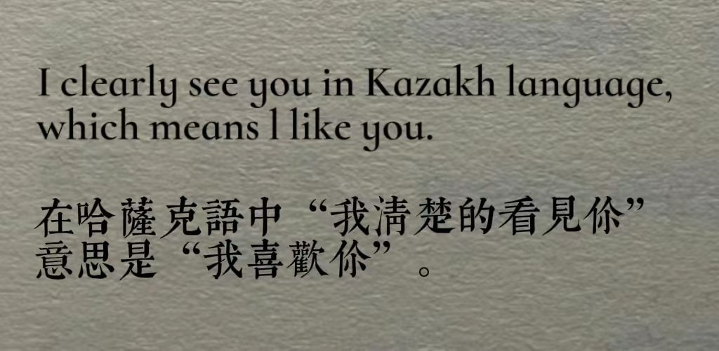 I clearly see you in Kazakh language, wh