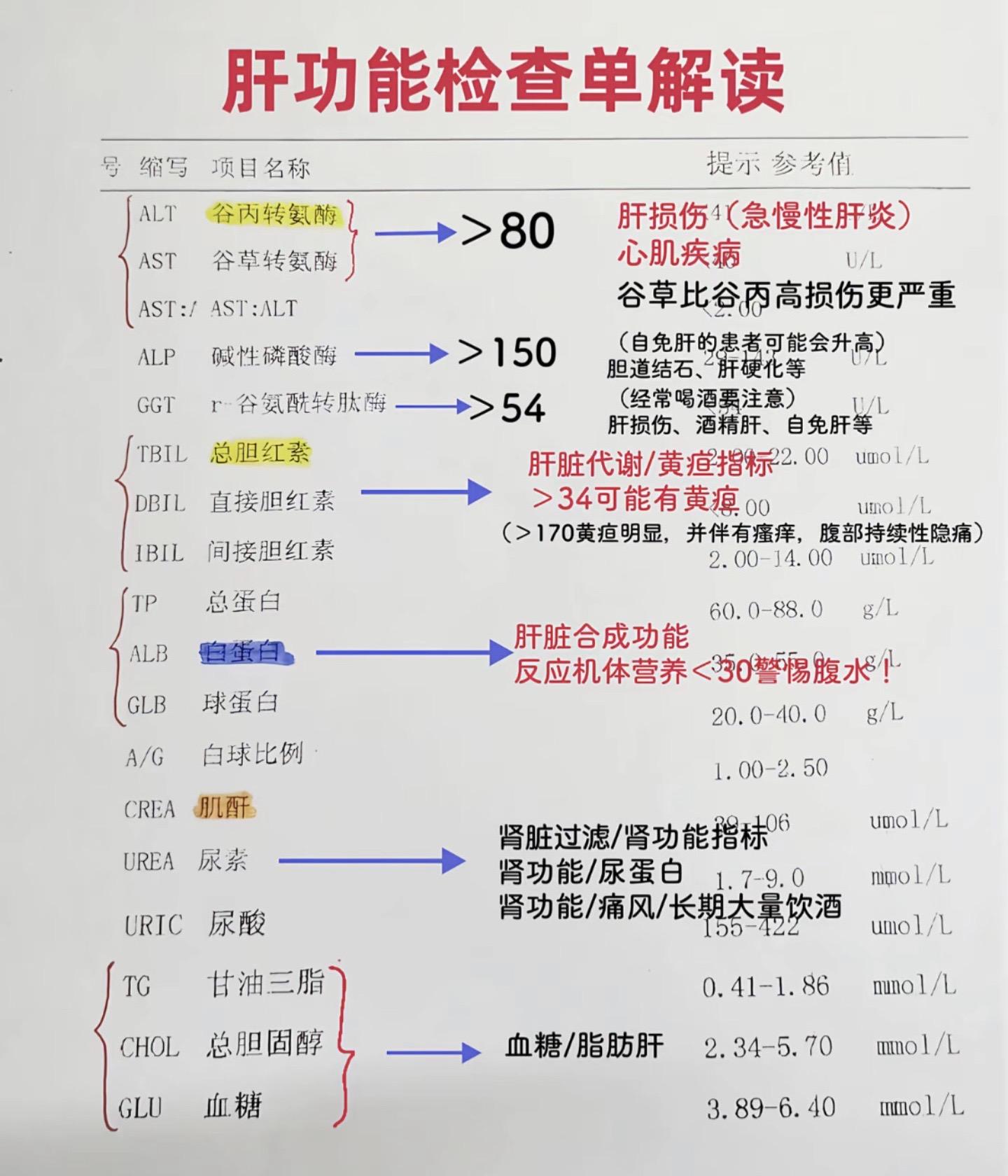 肝功能出来了自己不会看，应该怎么看？其实很简单，拿出自己的报告对照着看...