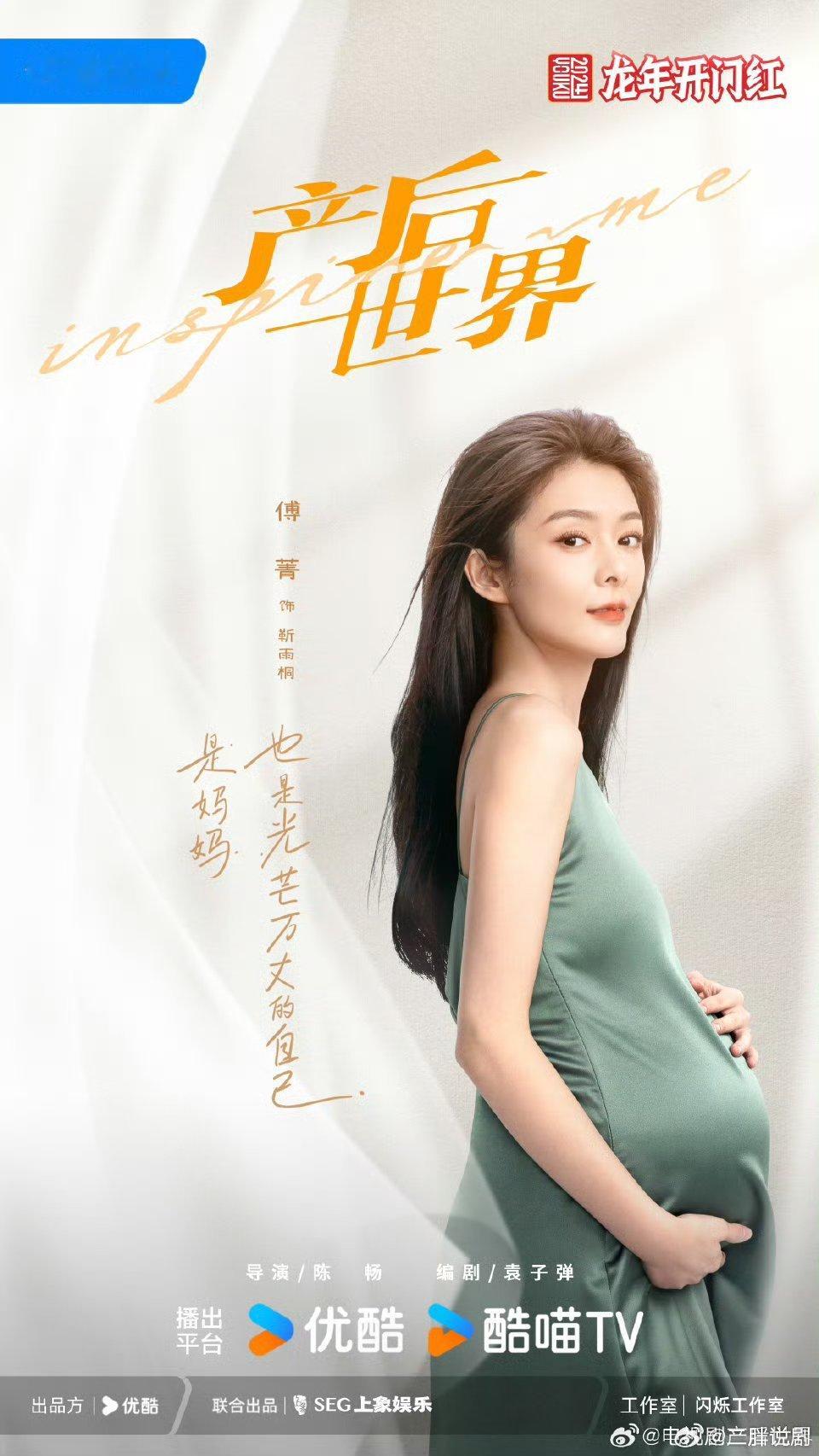 【二胖首发】有喜的日子预排6月播出 聚焦女性产后困境，根据高分韩剧改编，由高颜值