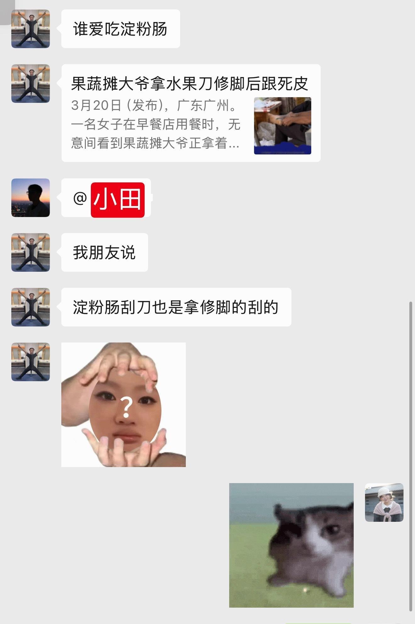 我只是一个爱吃淀粉肠的小女孩这都是假的对不对