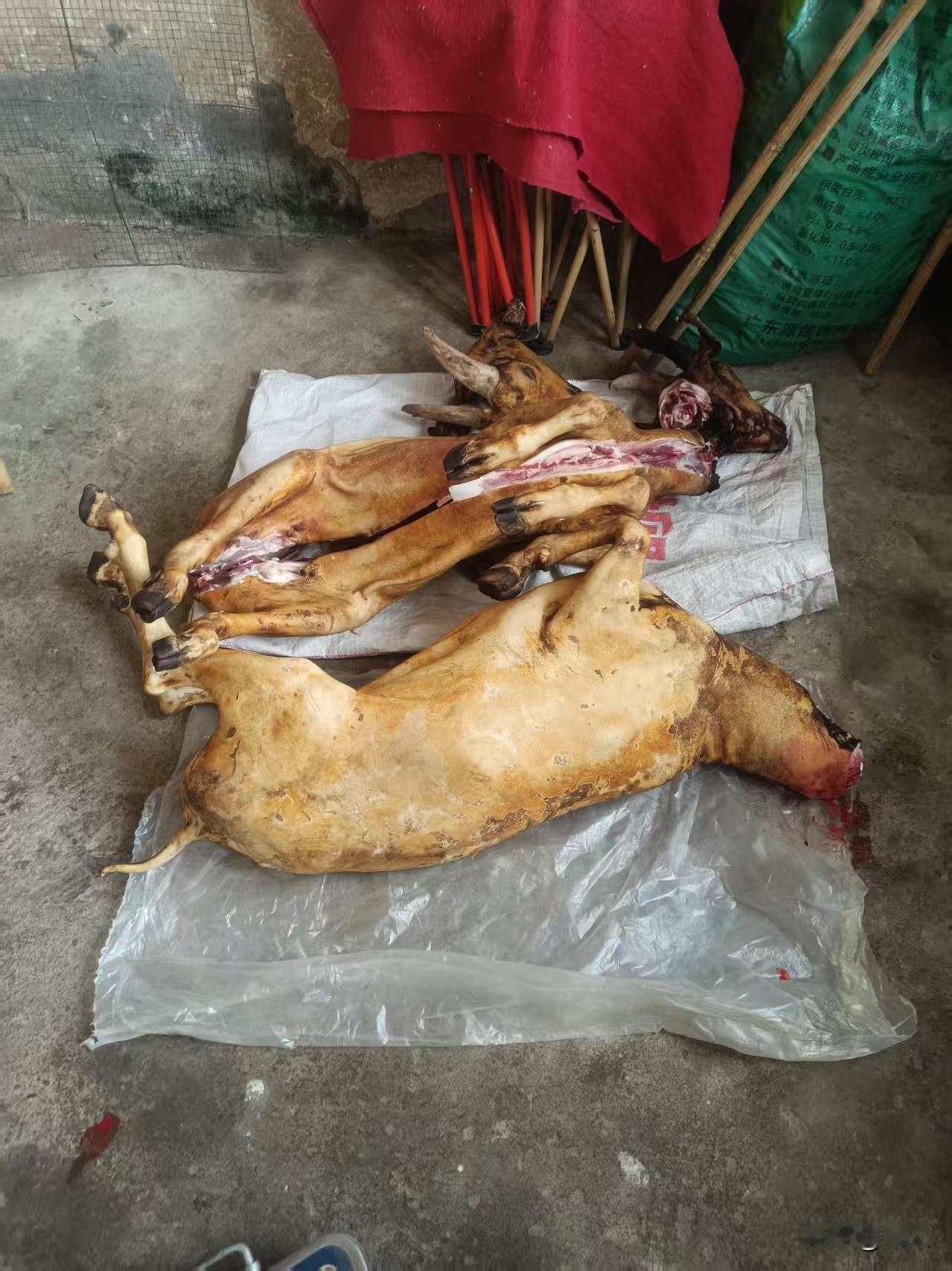 冬至·永州户户肉香与凯歌酒
 日头把影子拉到最长
便斜斜靠住九嶷山的肩膀
田埂的