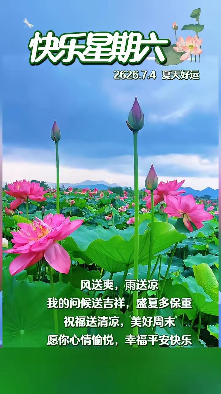 生活有晴有雨
日子有苦有甜
愿你
用一颗柔软的心
去看世界的可爱
也用一份坚定的