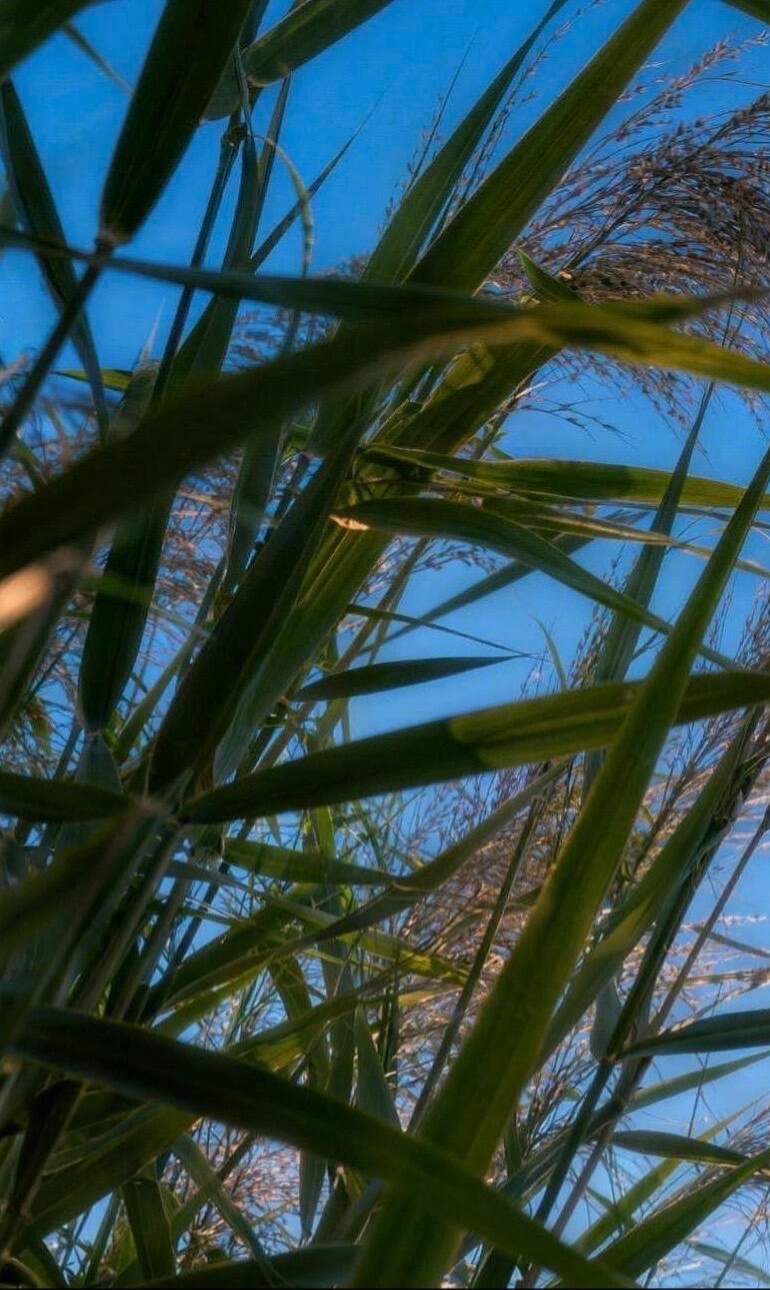 1000青春正能量，岁月蹉跎，不去珍惜，它只会荒废，一旦如拾珍宝般去爱它，它一定
