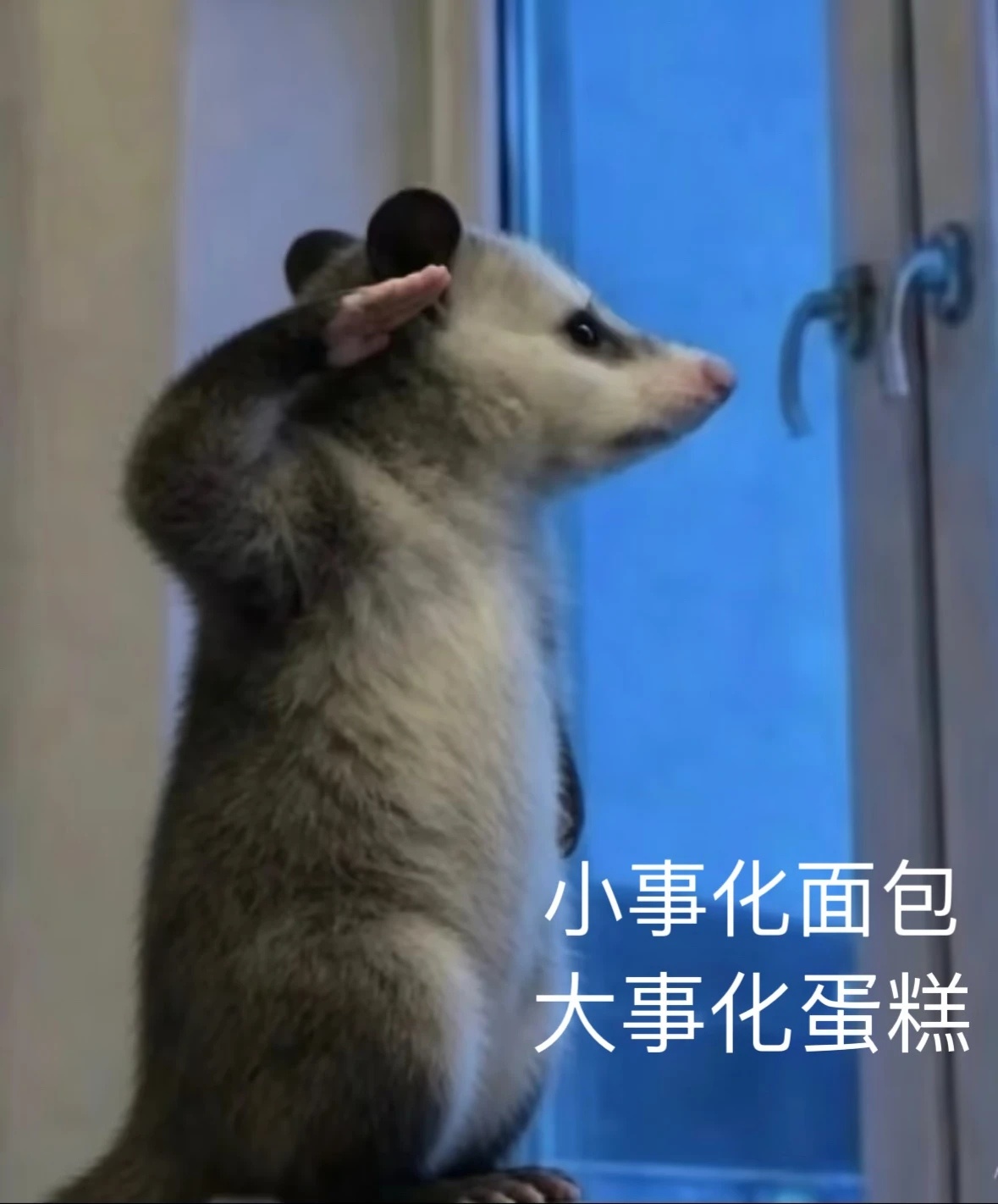 早上好呀 