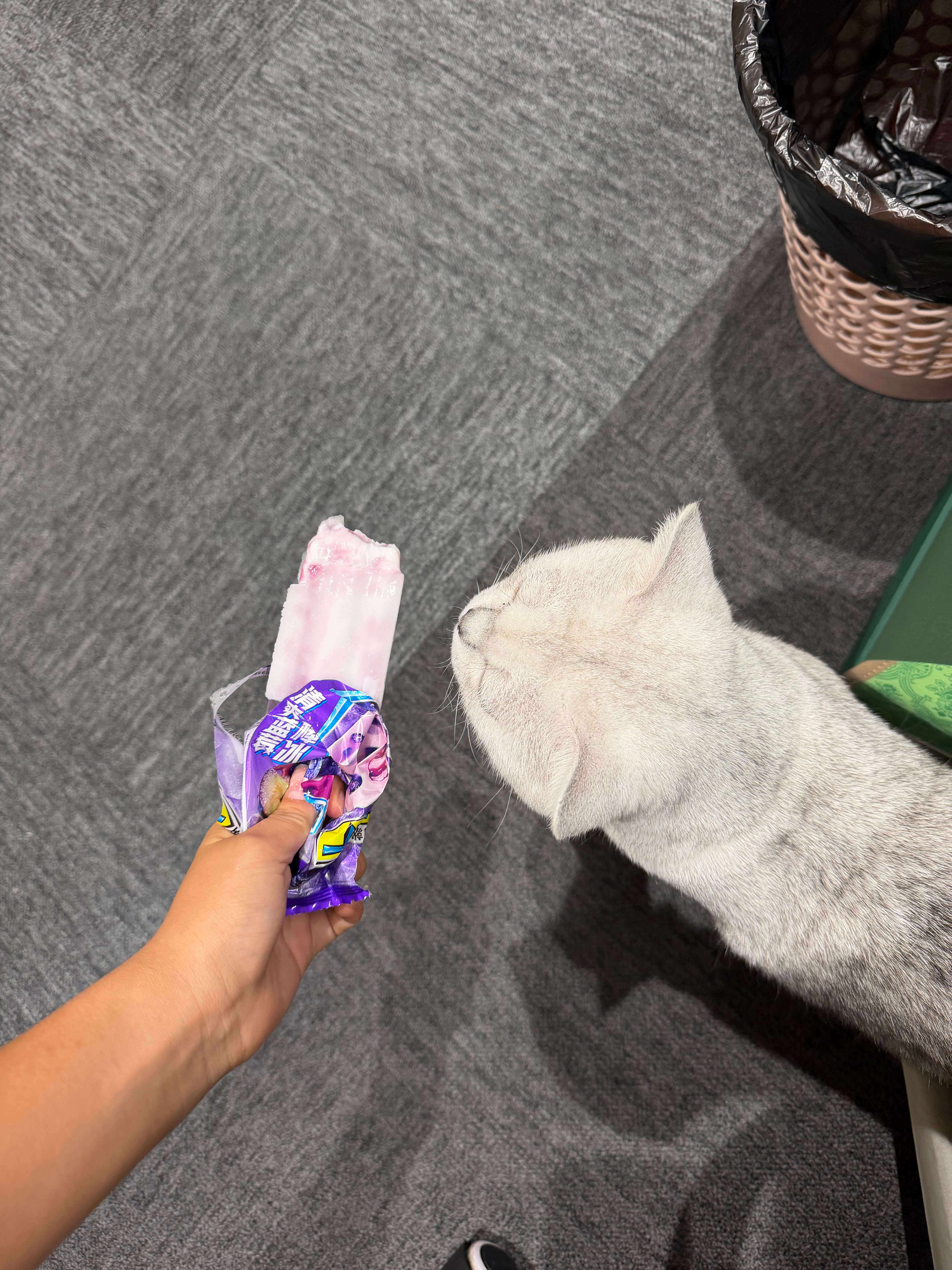 也是服了 金瓜啥都想尝两口 
