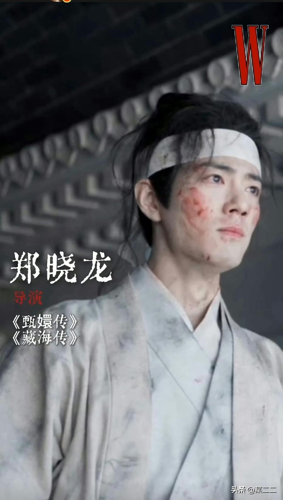 郑晓龙导演心中珍藏的最佳表演，是藏海吼出命不该绝时那微不可察的颤抖。
孔笙导演心