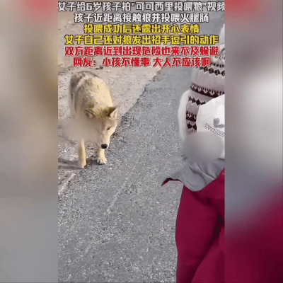 后怕！1月30日可可西里，家长带娃喂狼太冒险
 
1月30日，青海可可西里的一段