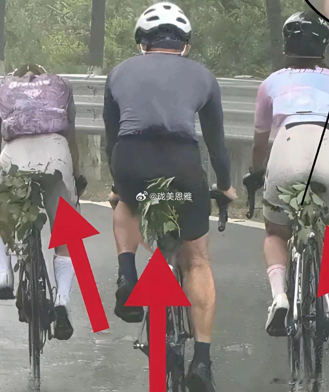 为啥这车也不设计个挡泥板？ 
