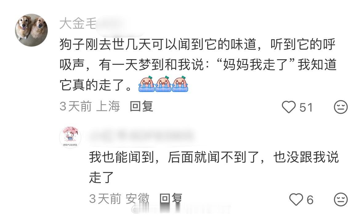 每次看到这种我都会一秒落泪😿 