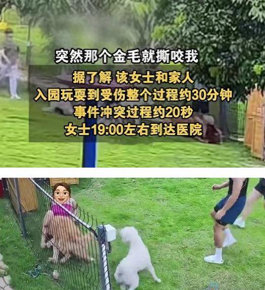 女子遭大狗撕咬20秒狂犬病三级暴露 近日，广东深圳的陈女士在宠物乐园内被金毛犬撕