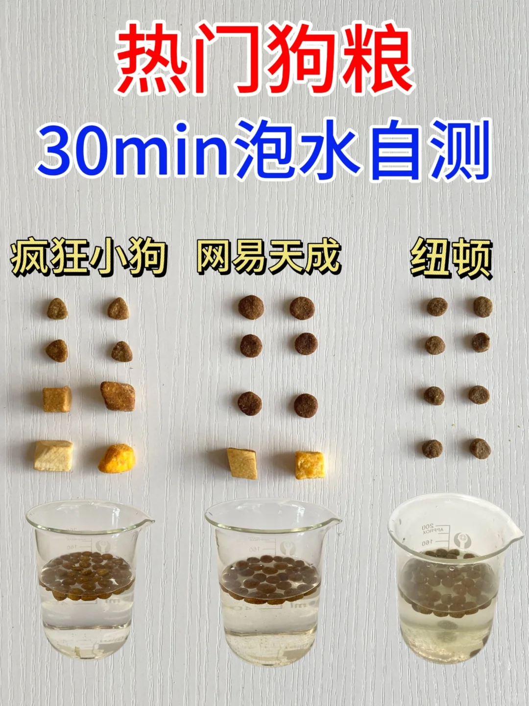 热门狗粮泡水30min鉴别！看看这三款！