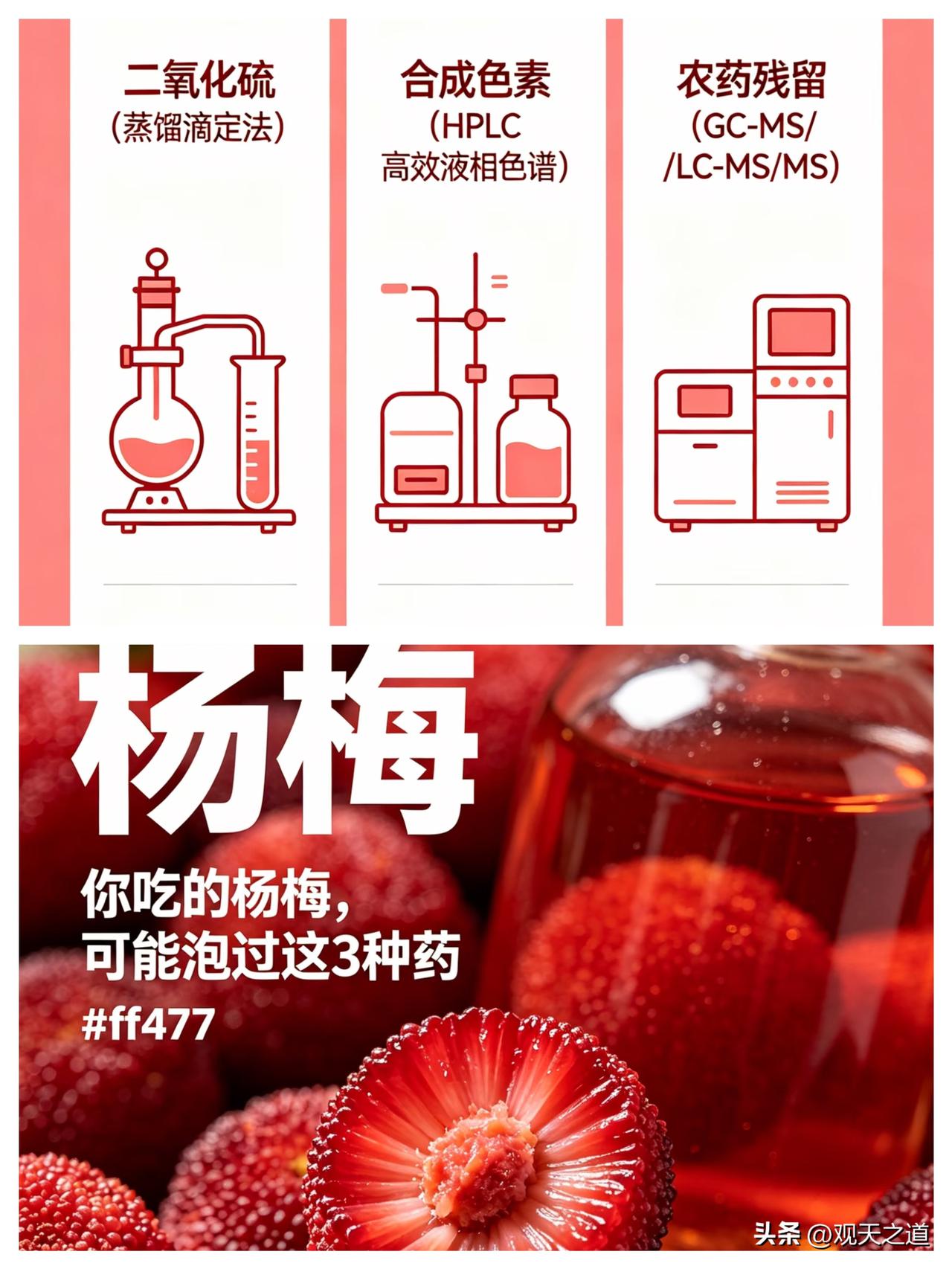 年年杨梅上市季，泡药鲜果的隐患总会牵动大家的心，不少人爱吃酸甜杨梅，却不敢放心随