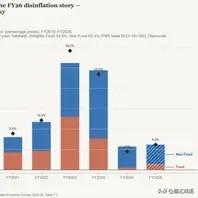  海外汇款托经济，巴国求自立路漫漫
