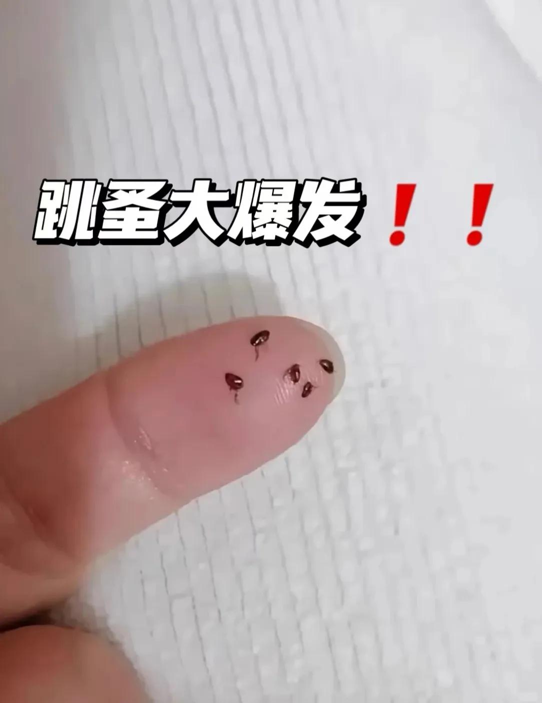 谁遇到过这种情况，是用什么方法解决的？