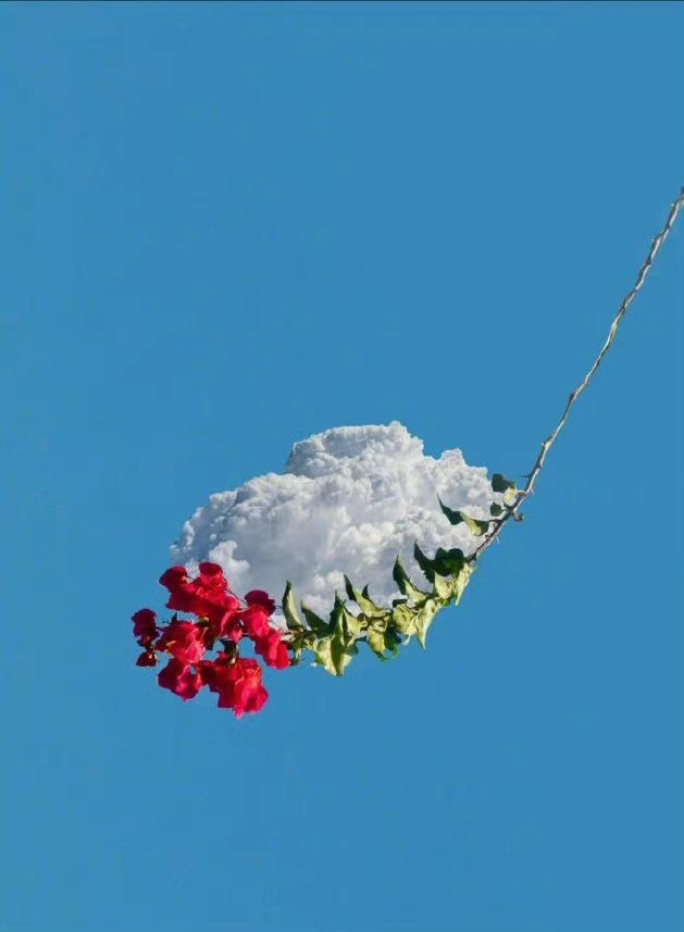 人生在世，委屈、烦难、辛酸，都是难免，重要的是，你得翻过去，因为，推开暗壁，对面