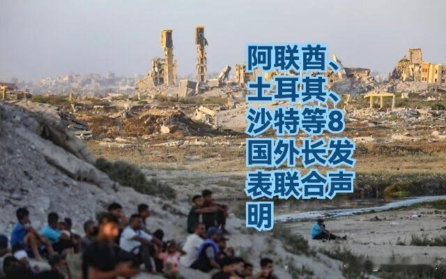 阿联酋、土耳其、沙特等8国外长发表联合声明

    据外媒《以色列时报》等媒体