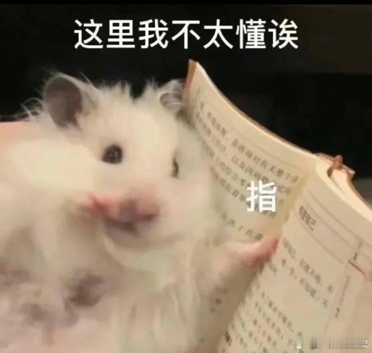 有点卡文，明天咧咧[开学季]好难的一个part啊[拜托][拜托][拜托][拜托]