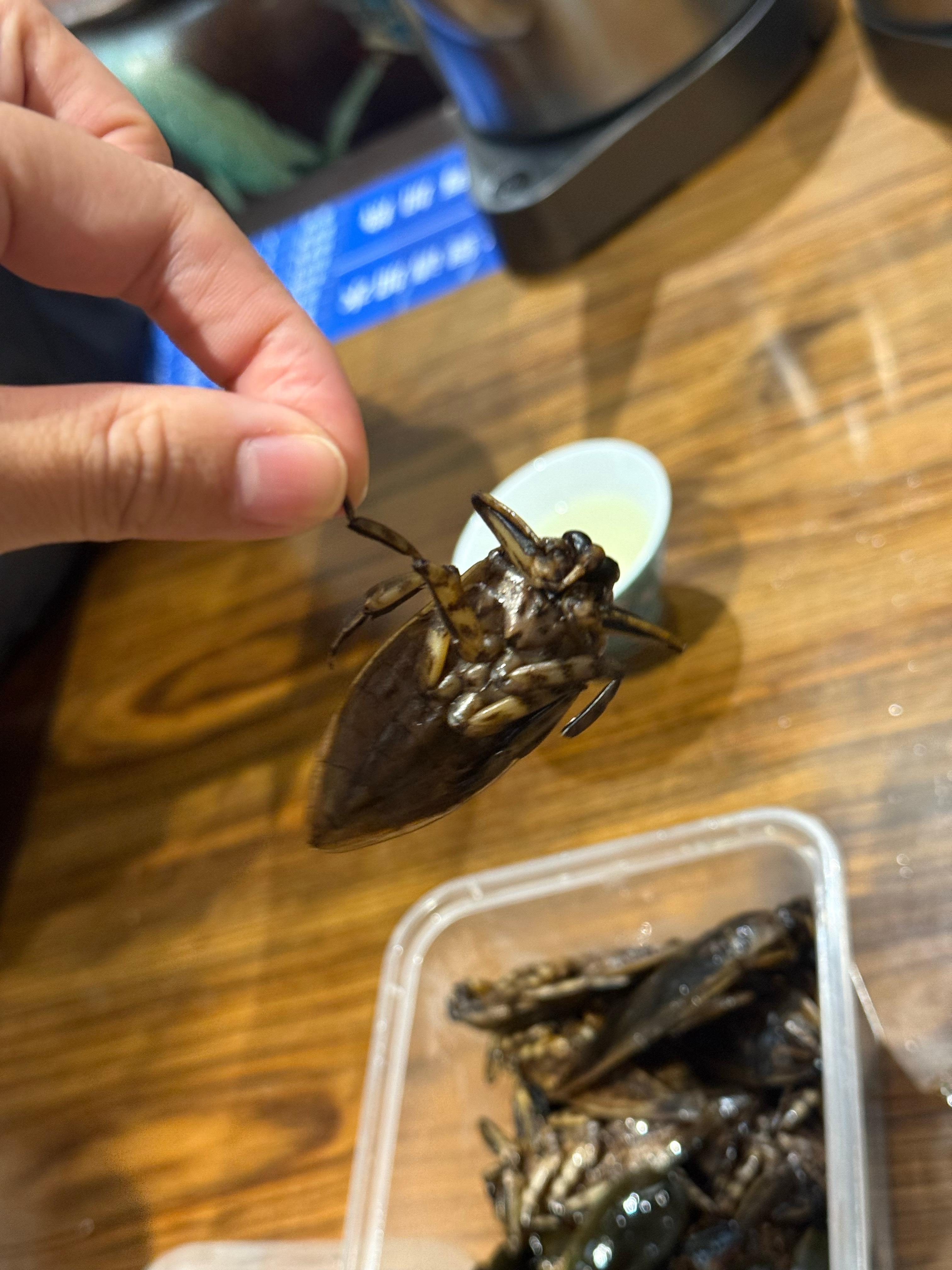 有没有懂这吃的是啥？我要说我广东人但是我吃不了这个家里人爱惨了…………啊我抓过之