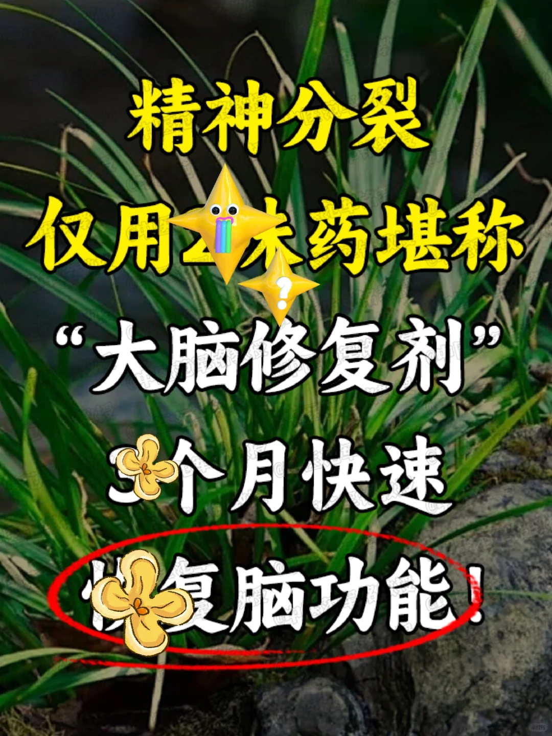 由于当前社会、家庭、学校等外部因素的影响，以及教育制度本身的缺陷，初中...