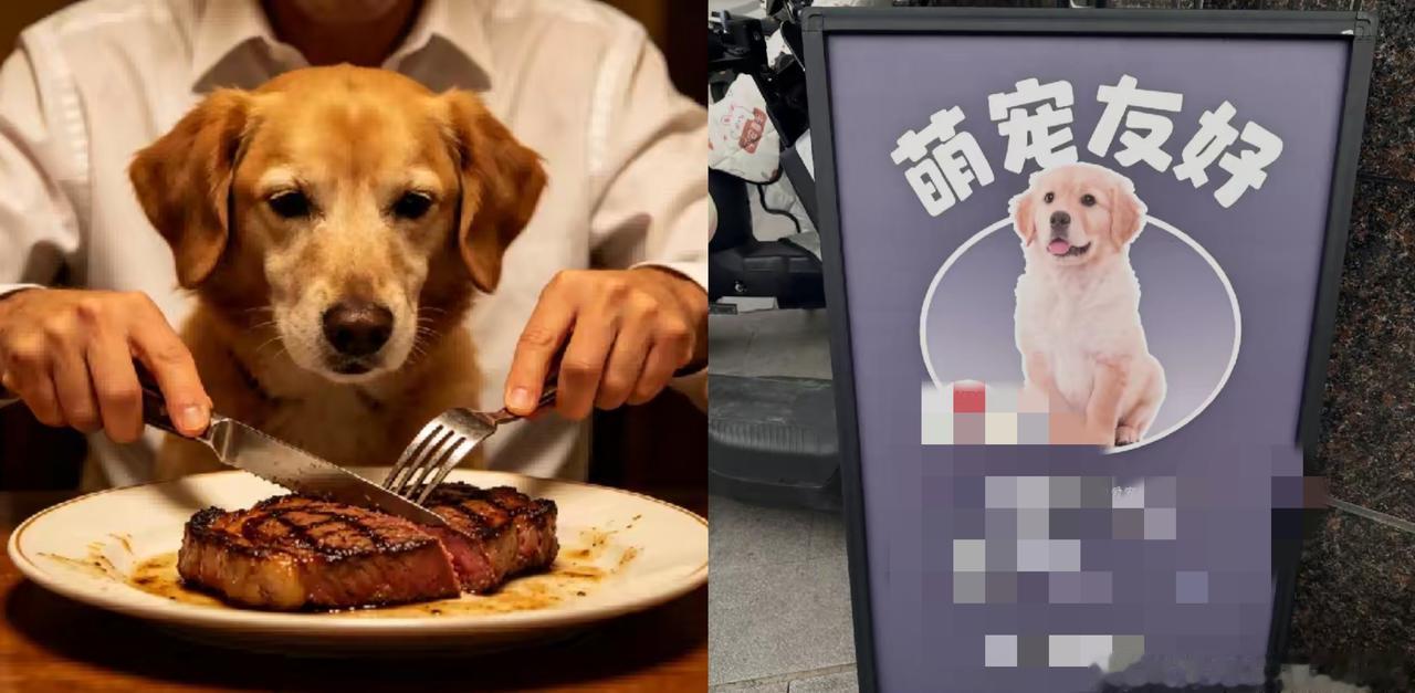 宠物进餐厅，看似温情，实则给经营者埋下了定时炸弹！一旦出现咬伤、过敏或卫生问题，