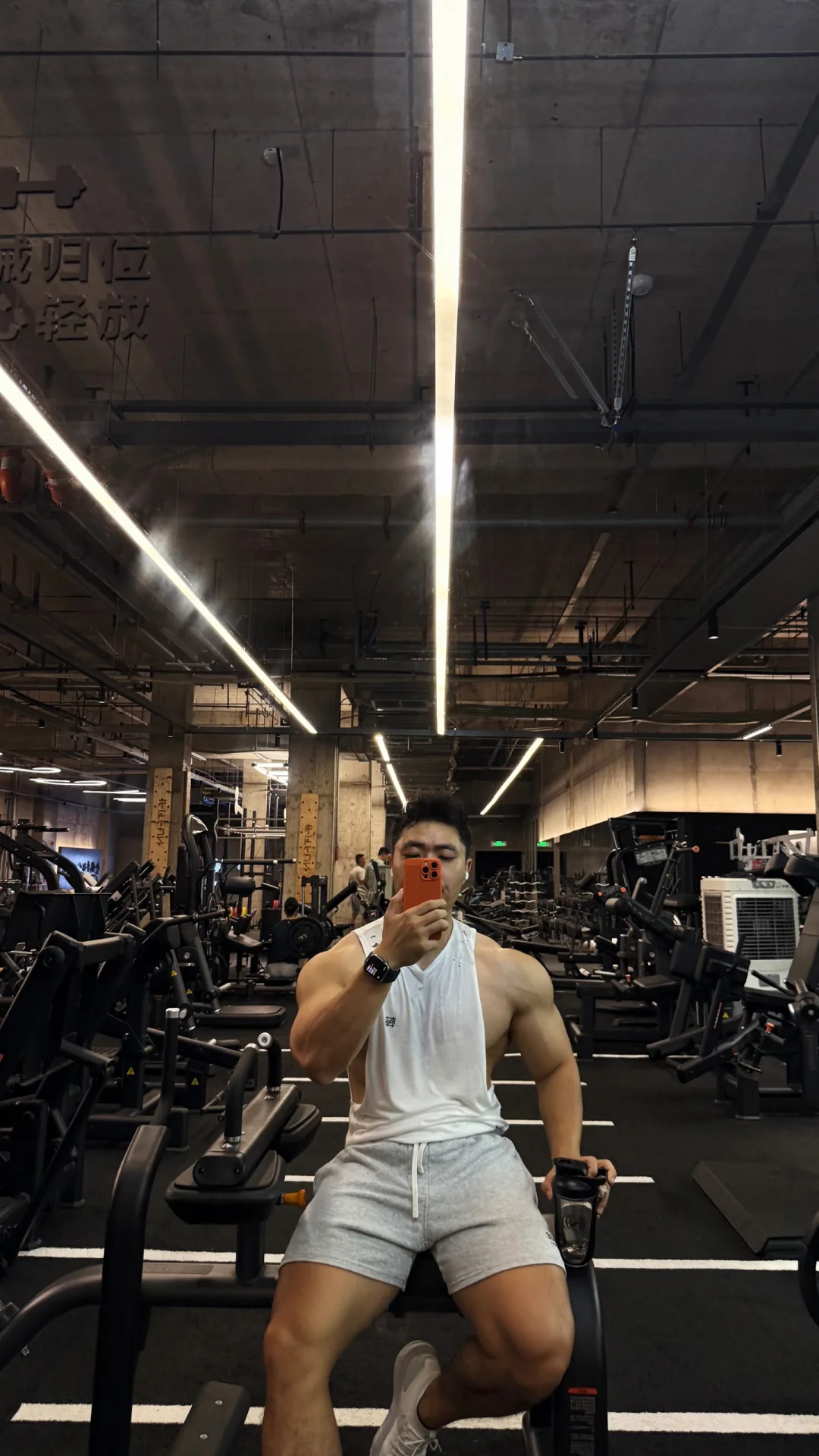 让我看看你拍的猫