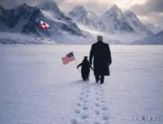 特朗普牵着企鹅，举着美国🇺🇸漫步在格陵兰岛的冰天雪地里，图片配文“掌控北极