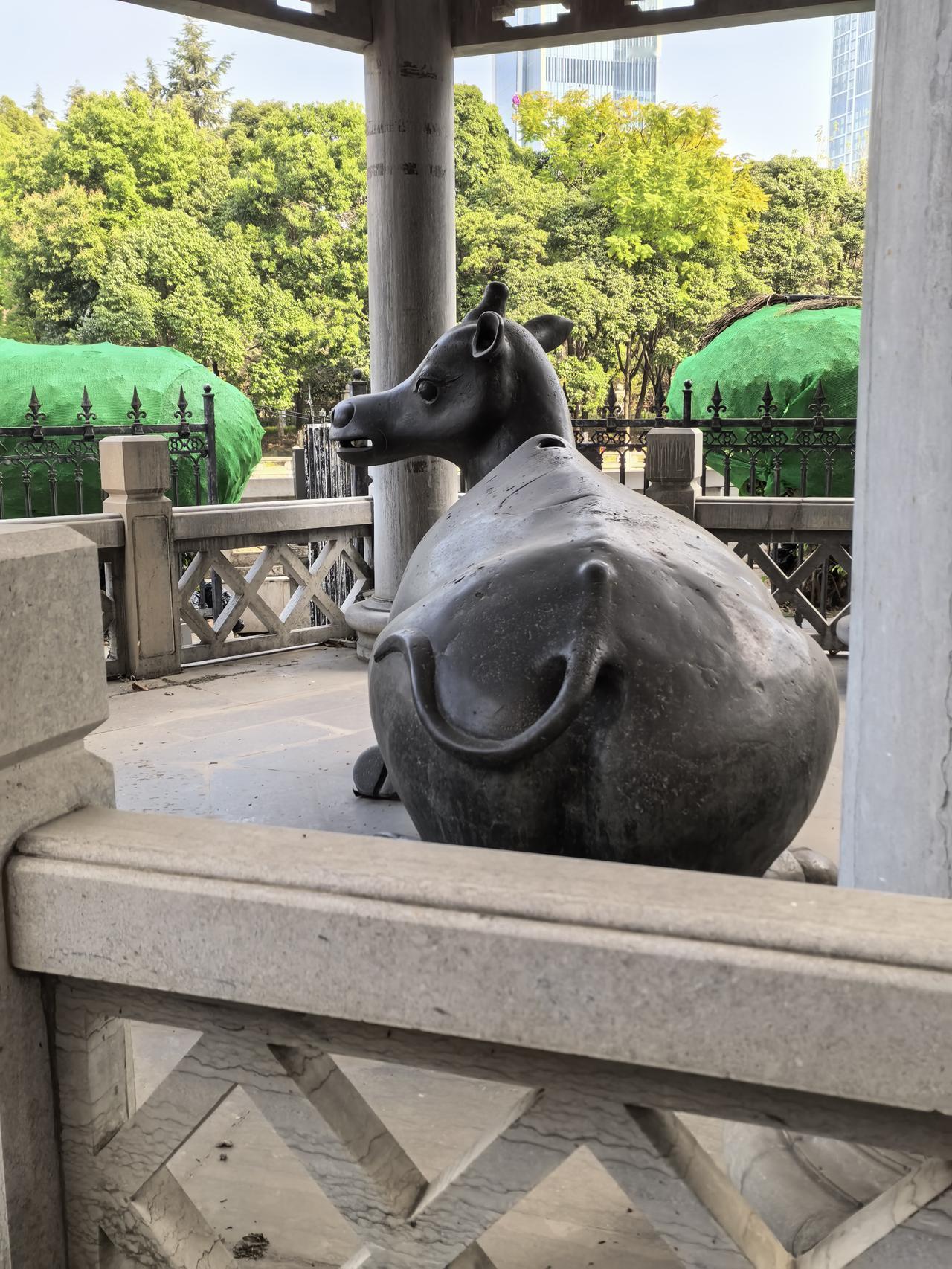 这个叫什么呢！在盘龙江边。