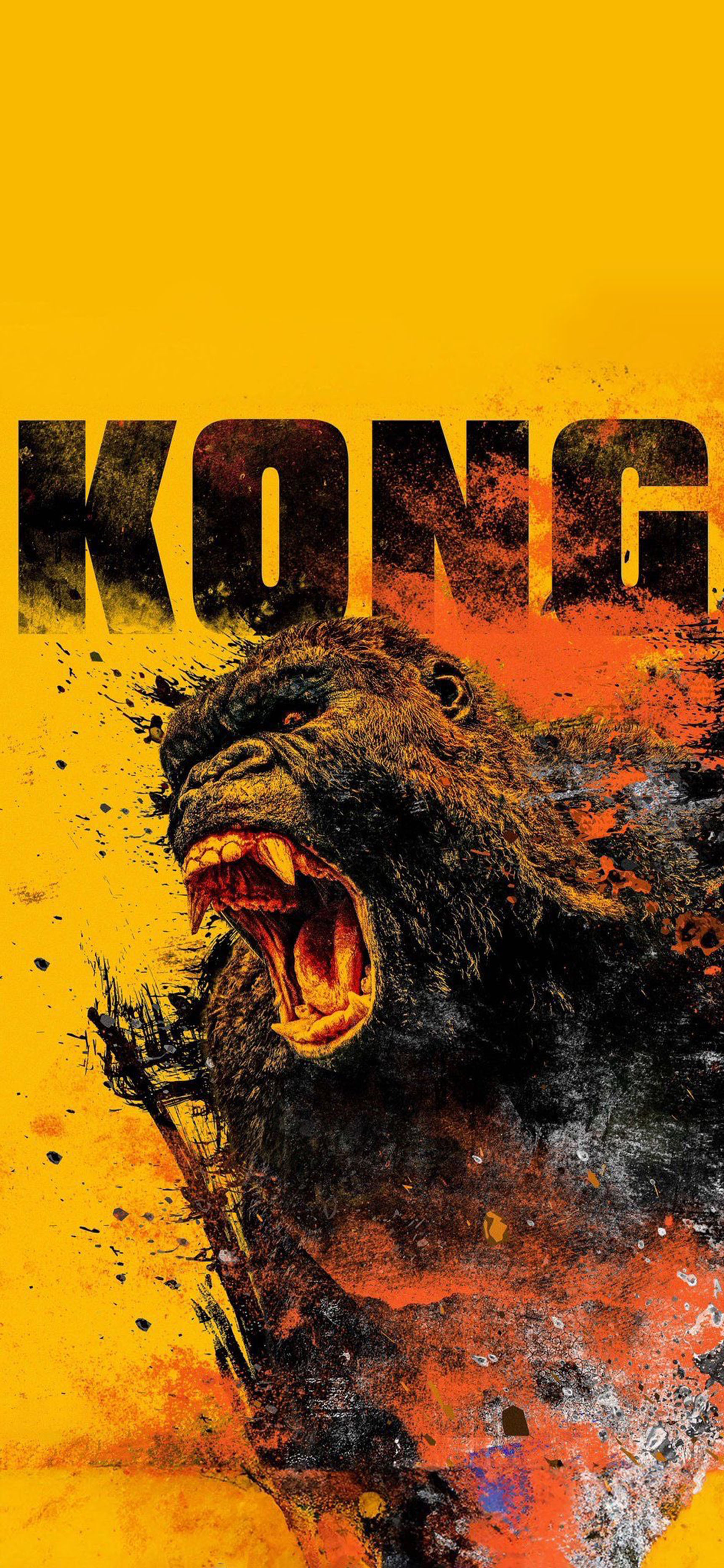 莱分享 今日 iPhone 壁纸分享 