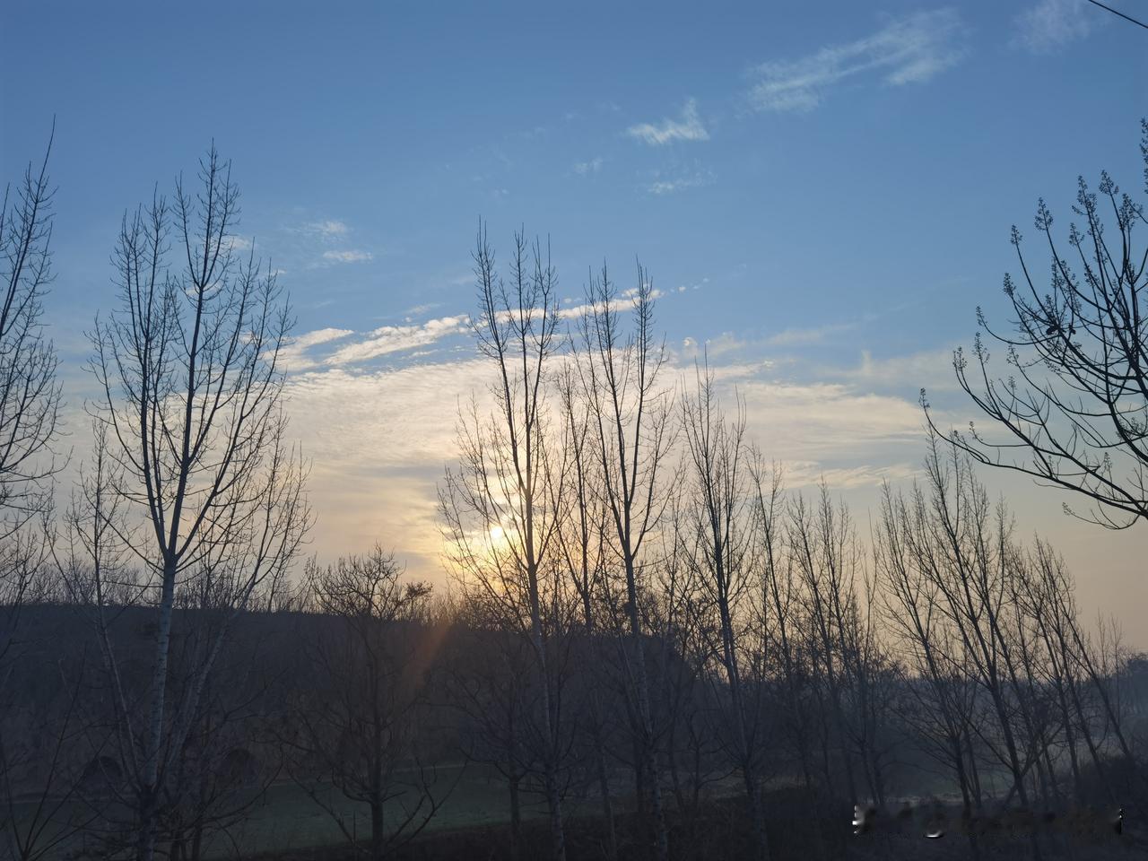 今早一出门就被眼前的景色勾住脚步了。天刚蒙蒙亮，冷飕飕的风刮在脸上，却让人脑子一