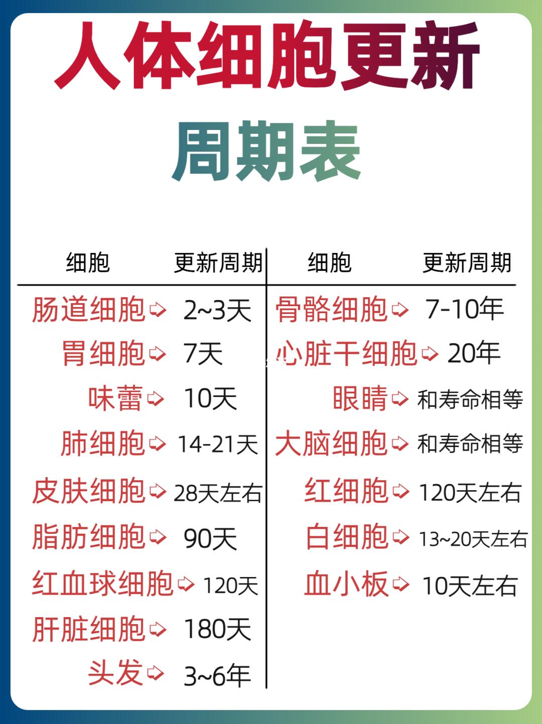 抓住细胞更新周期，养出更健康的你🌿💪