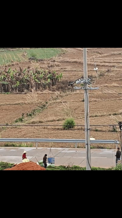 “还好飞的不高！”福建一女子干着活突然“起飞”，被无人机倒吊悬空！网友：这是真人