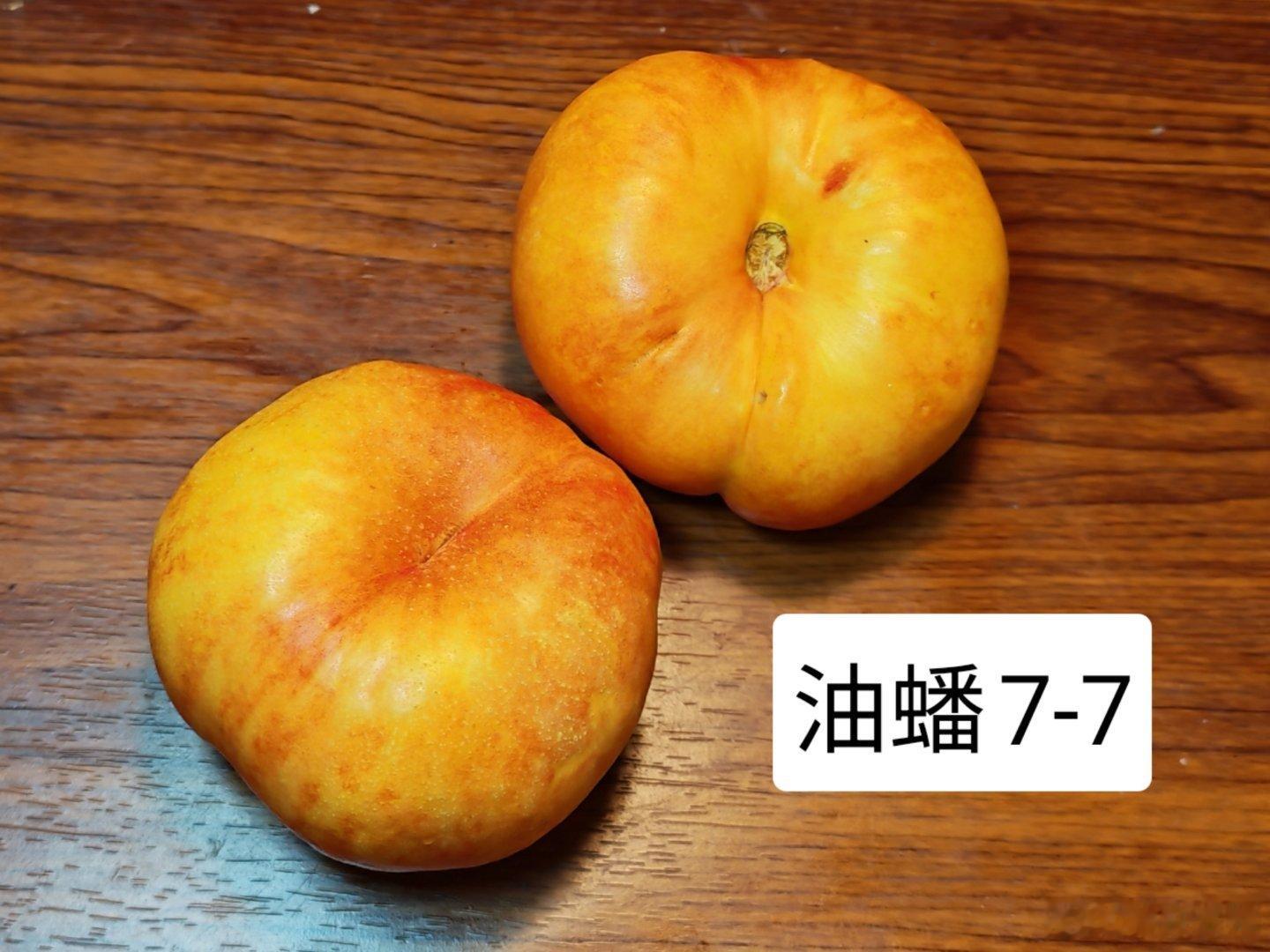 这桃子有个缺点：太好吃了停不住，昨天才收到，一箱已经剩下三个。脆度由高到低：油蟠