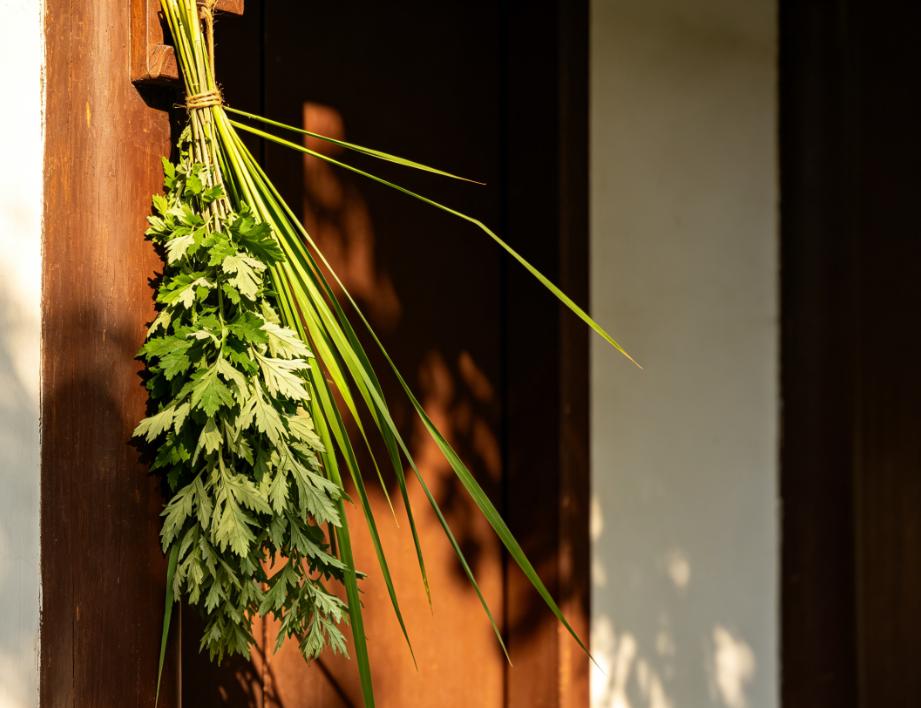 每年端午，很多人都纠结艾草到底哪天挂、几点挂？

老祖宗传下的“挂早不挂晚”六字