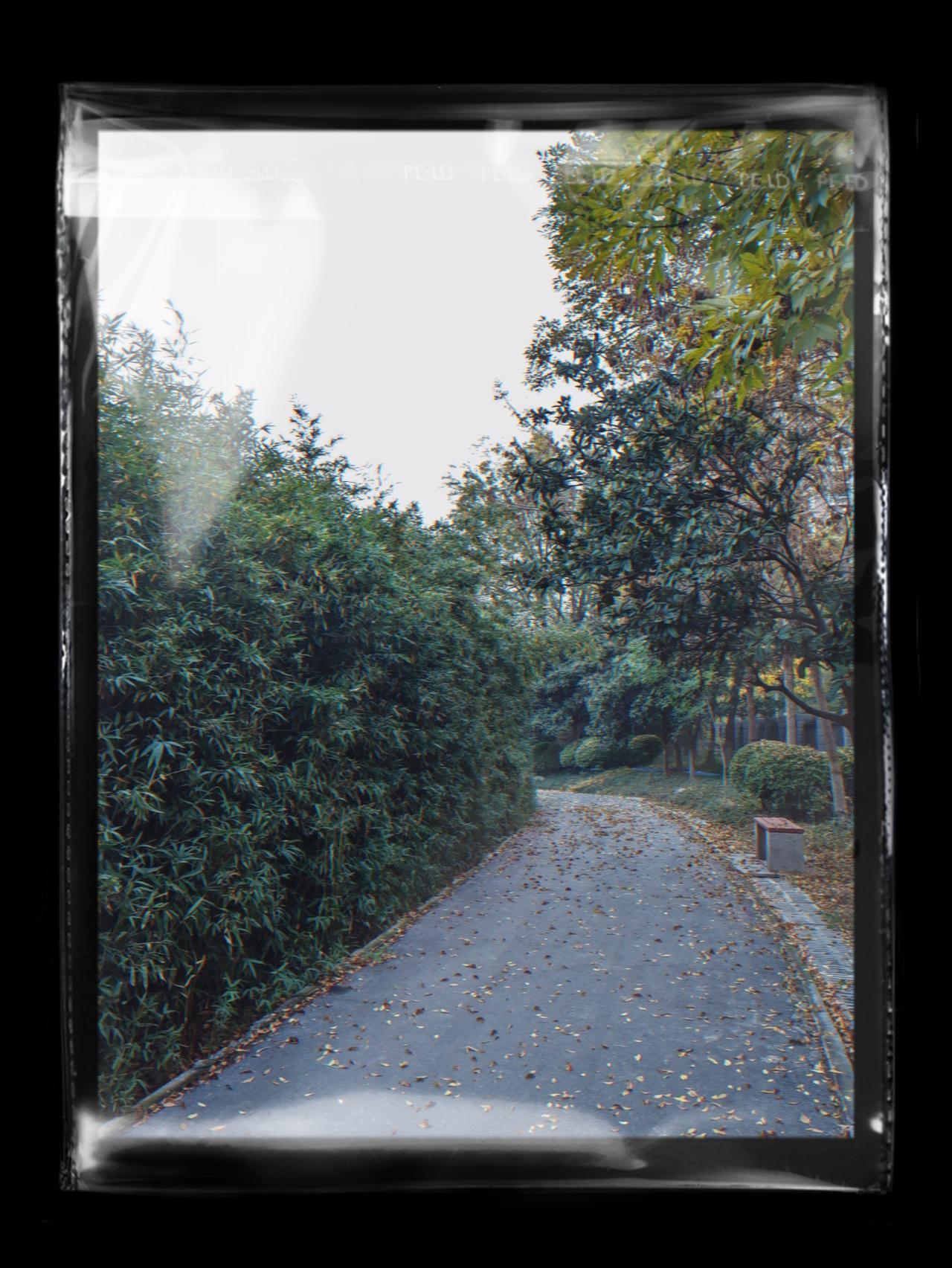 《求是》杂志刊登文章，批评躺平式干部“损害群众利益”。
太温和了，其实他们就是一