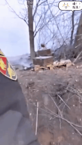 欧美炮弹贵的真有道理。布置在小树林的炮兵阵地被俄军火炮击中，除了被击中的地方发生