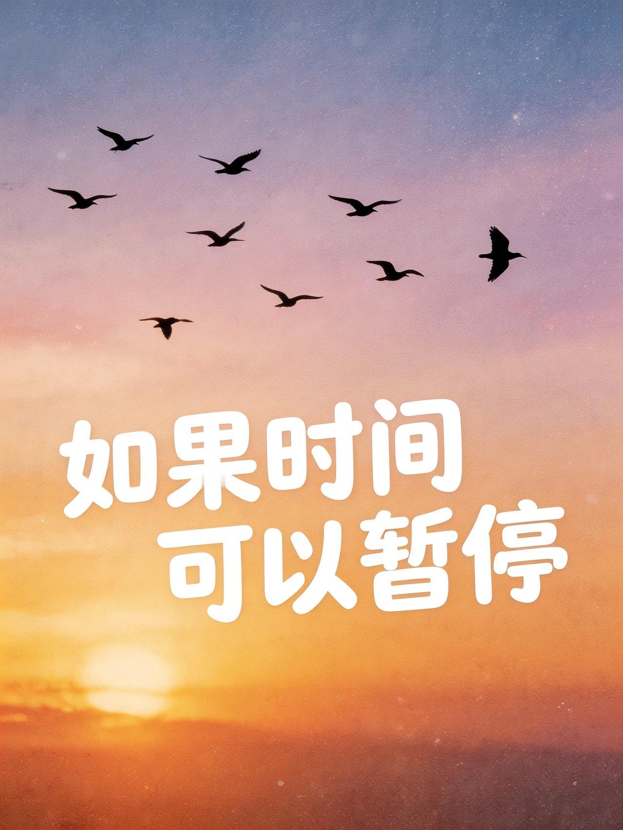 如果时间可以暂停，你最想留住哪一刻。请时光慢些走吧