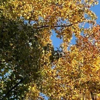 正好的下午  正好的阳光正好的时间  正好的你阳光