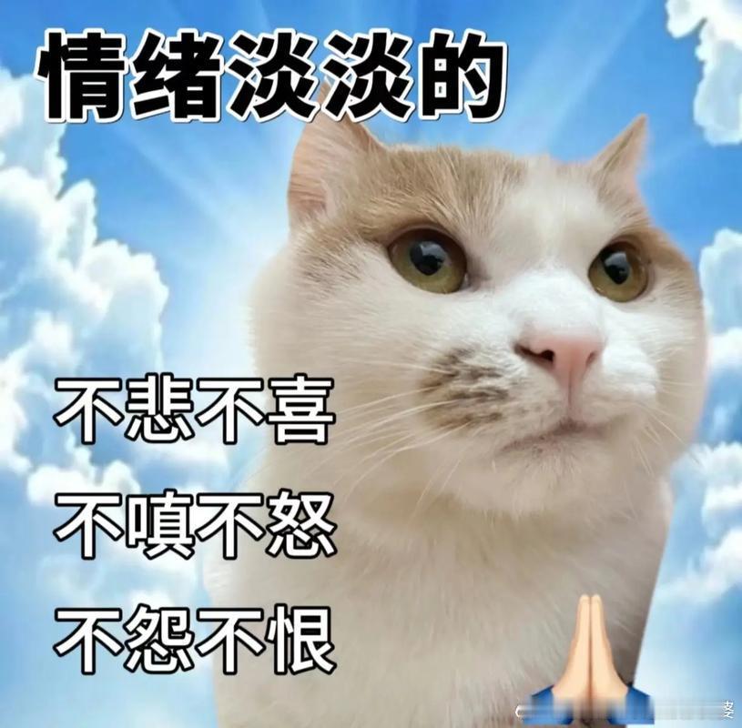 网购羽绒服半个月退回口袋装着机票资本主义社会早就接受了合理退换货期，连高档成衣都