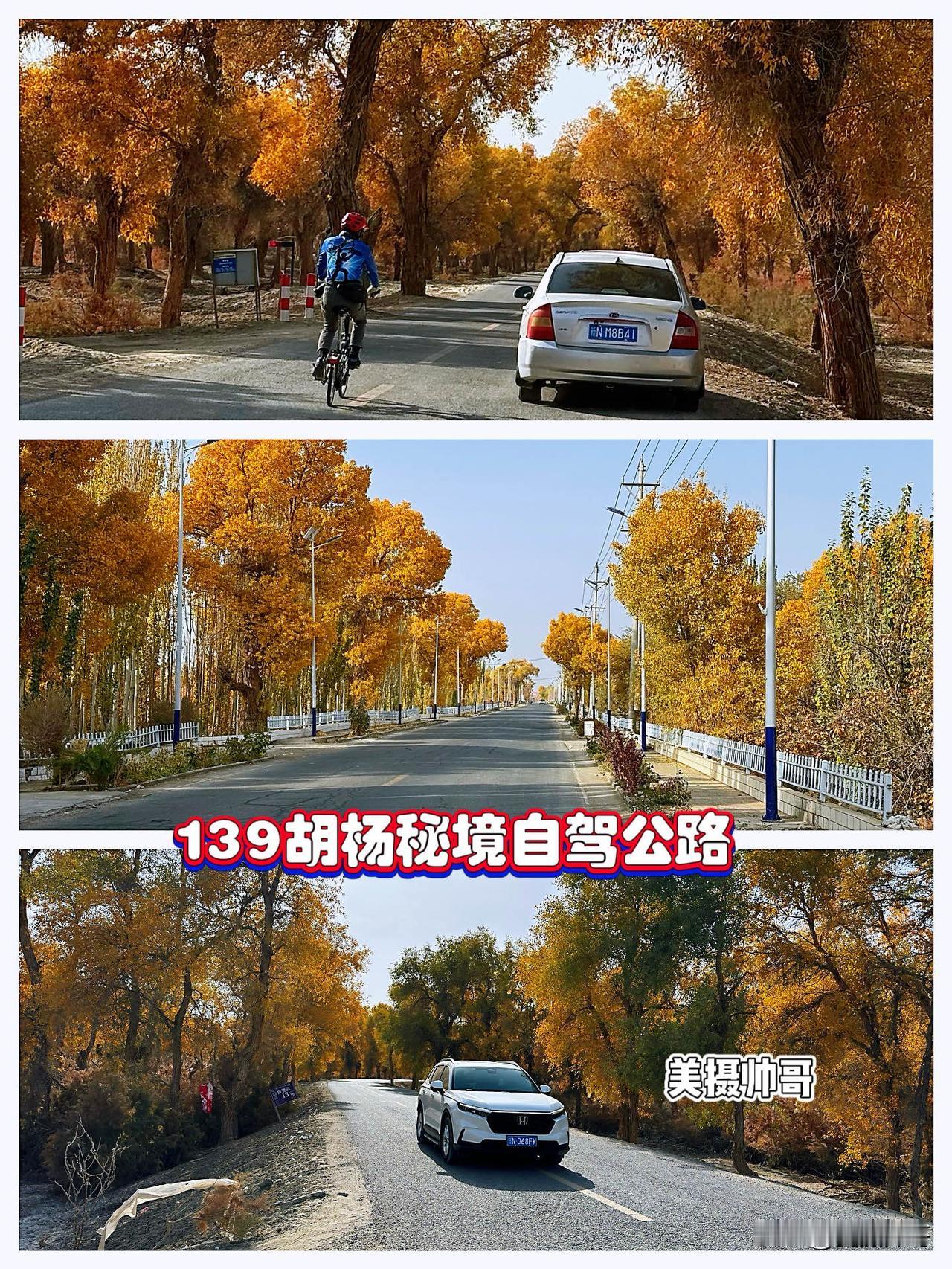 南疆胡杨秘境—139胡杨秘境自驾公路

139胡杨秘境自驾公路全长139公里，沿