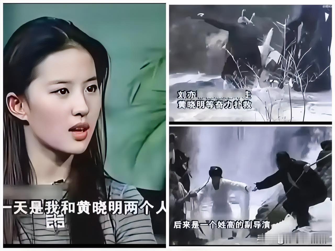 刘亦菲能有今天的成就
最应该感谢那个人
既不是生父安少康，也不是陈金飞，而是跟她