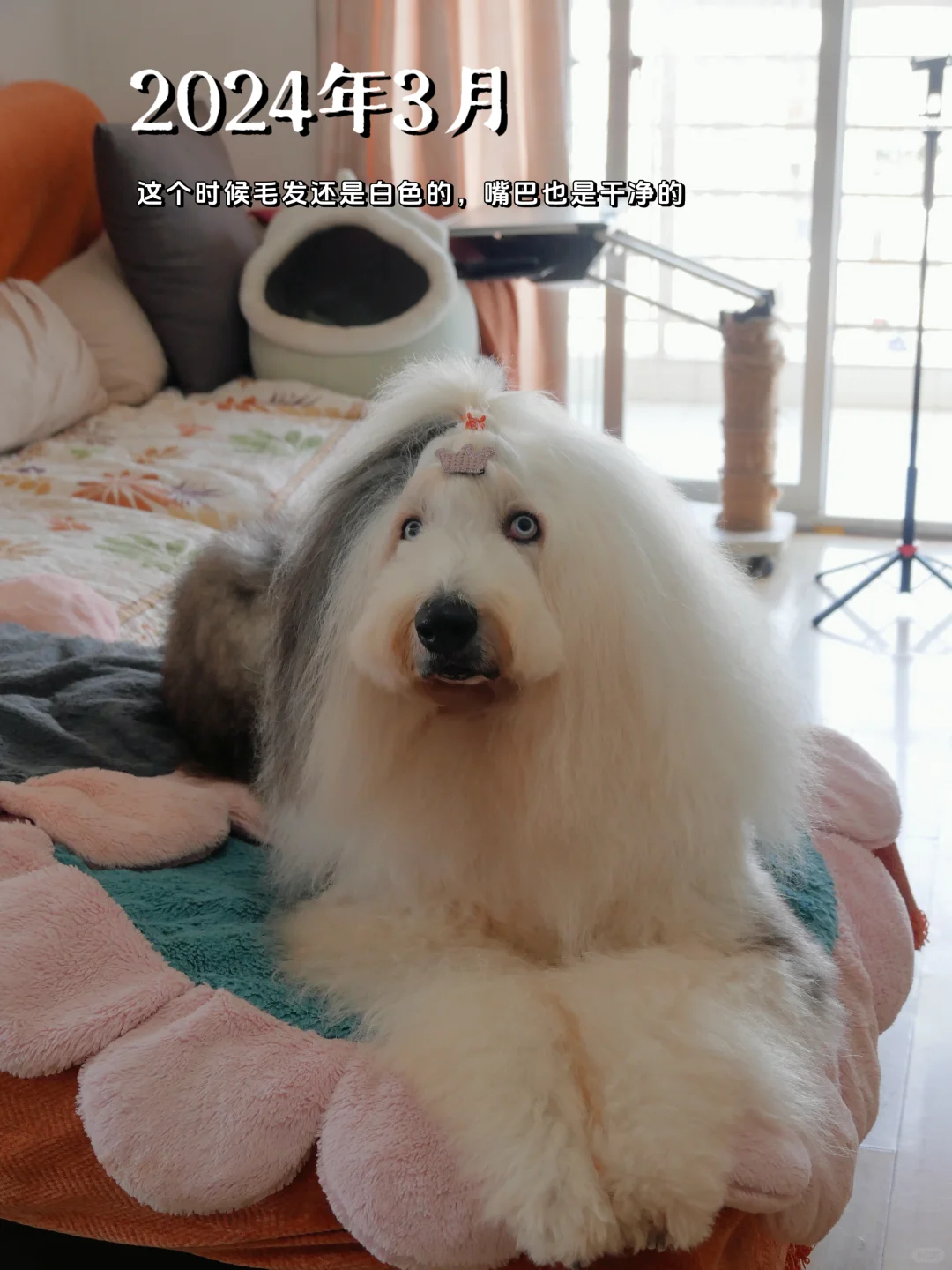 5个月|从黄黑皮到冷白皮，我做对了什么