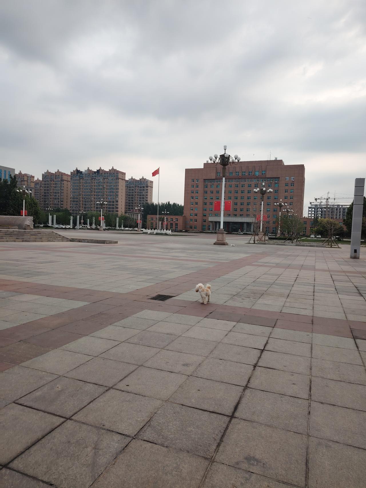 这就是，我们海城市的市政府大楼，矗立在兴海广场旁边。