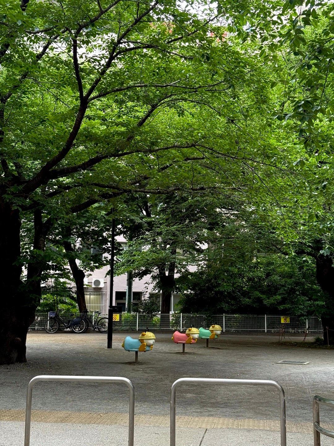 特别舒服的一天。我记一下 