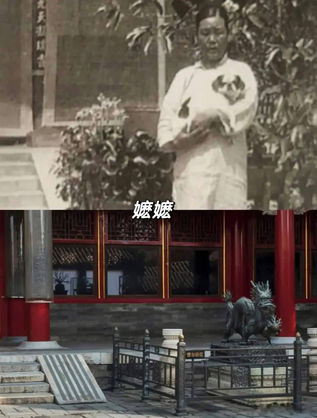精彩分享历史